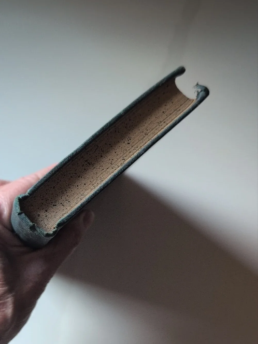 VTG Antique Victor Hugo Notre Dame Vol. I Hardcover Book PF Collier Illustrated
